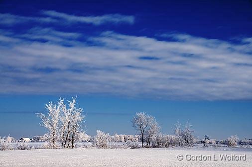 Frosted Landscape_52650.jpg - Photographed east of Ottawa, Ontario - the capital of Canada.